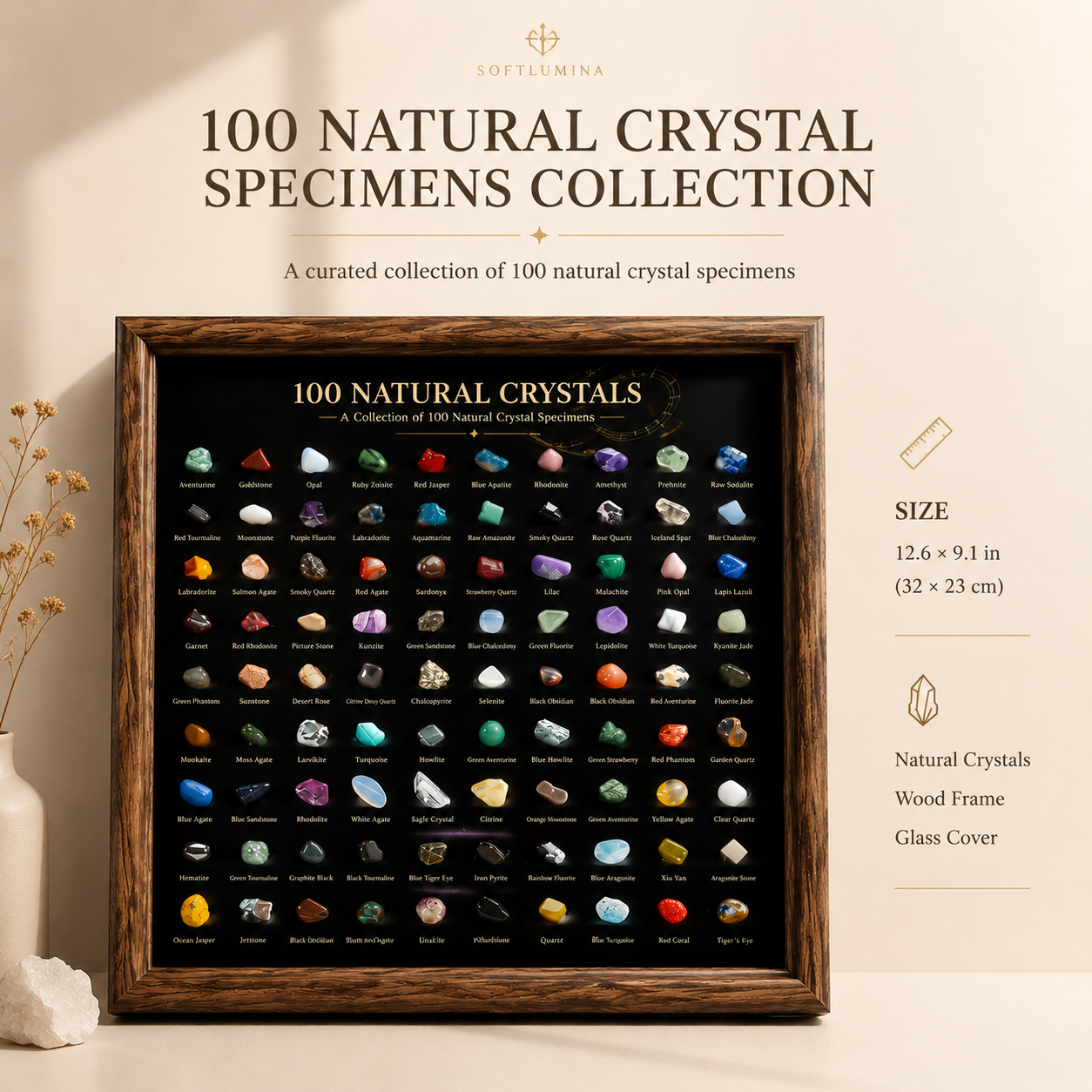100 Natural Crystal Specimens Collection Frame | Crystal Display & Home Decor