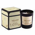 SoftLumina Mini Scented Candle