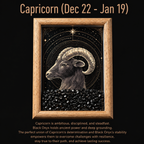 Zodiac Crystal Frame | Natural Crystal Specimen Collection